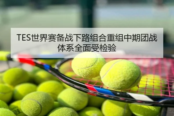 TES世界赛备战下路组合重组中期团战体系全面受检验